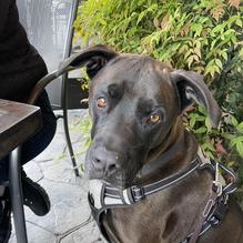 The Looney Bean restaurant view 1