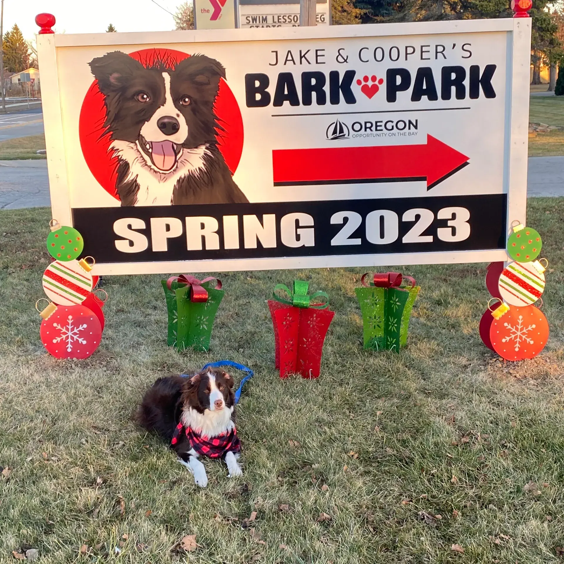 Pet Friendly Jake and Cooper's Bark Park