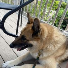 Arena's Milford restaurant view 1