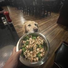 LeadBelly restaurant view 1