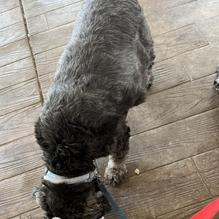 Sandy's Country Junction restaurant view 1