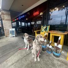 Bluewater Grill restaurant view 1