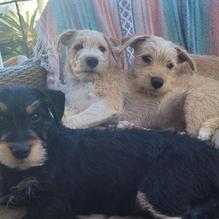 Bagby restaurant view 1