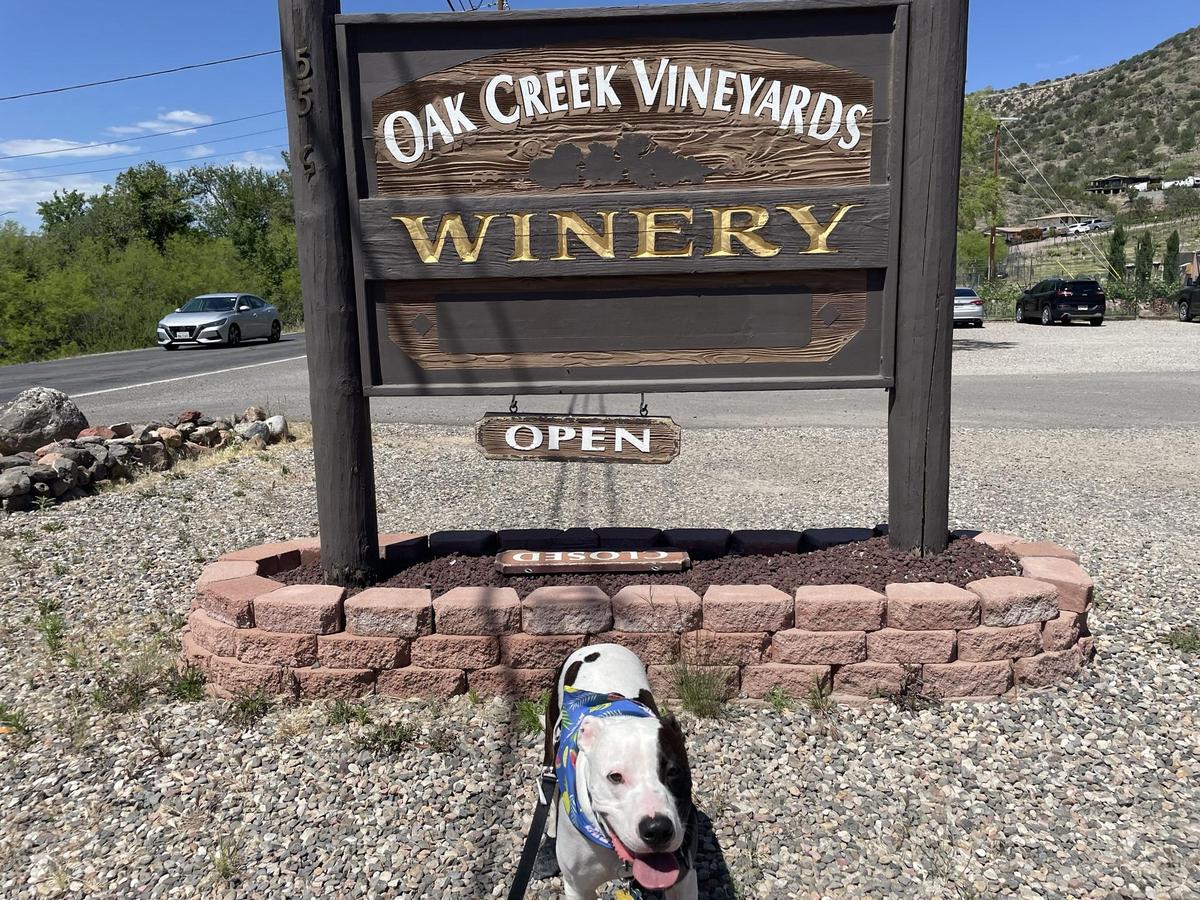 Oak creek vineyard shop