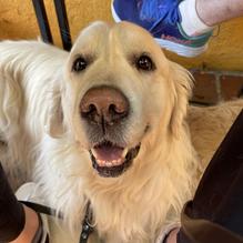 Joselito's Mexican Food restaurant view 1