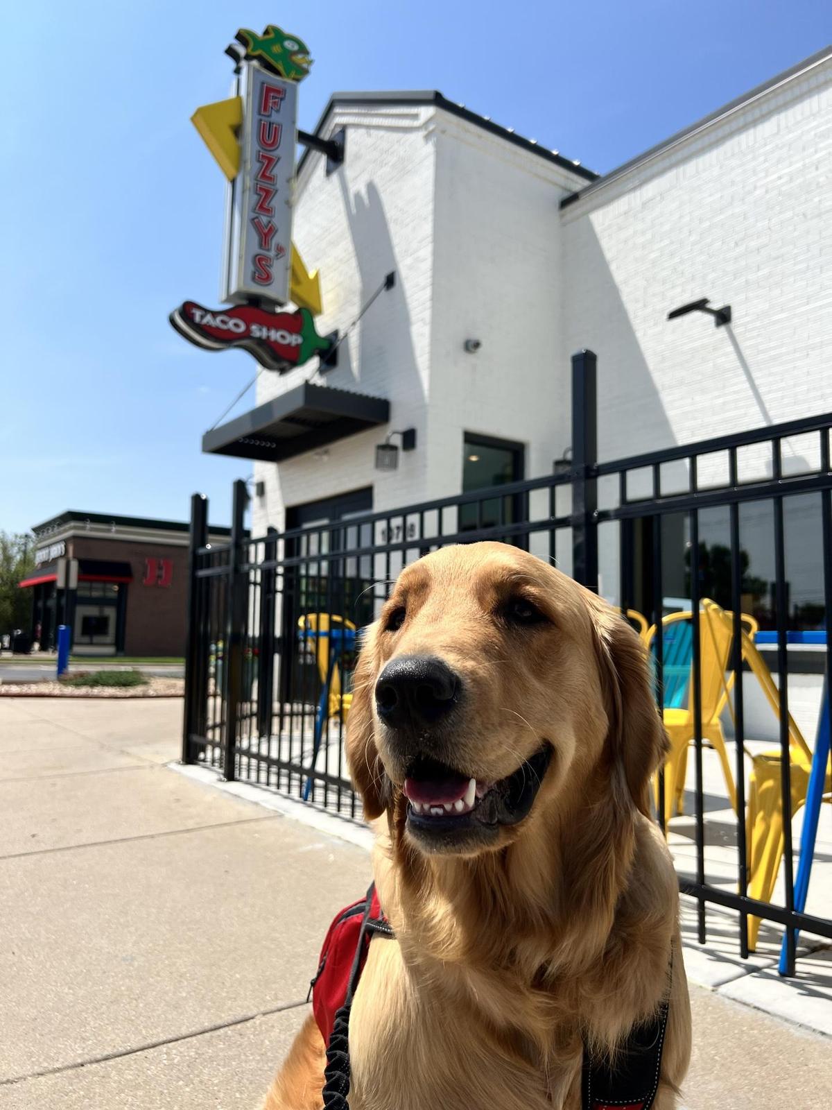 Fuzzy's Taco Shop restaurant view 1