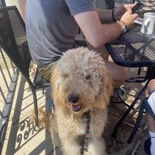 Digger's Diner restaurant view 1