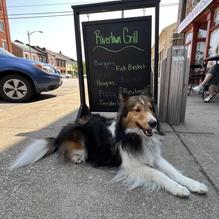 Rivertown Grill restaurant view 2