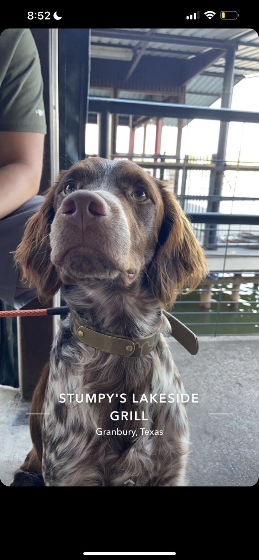 Stumpy's Lakeside Grill restaurant view 1
