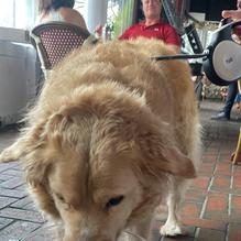 The Tini Martini Bar restaurant view 2