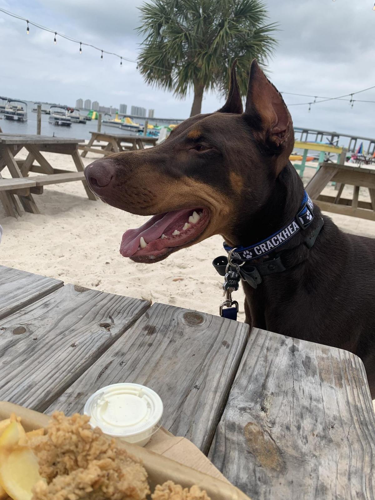 Dewey Destin's restaurant view 2