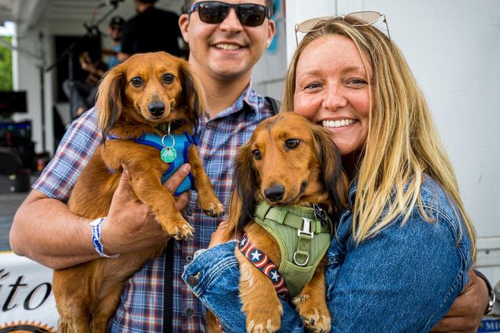June's Best Dog-Friendly Events