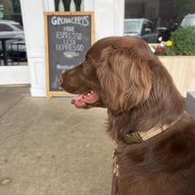 Greenberry's Coffee & Tea restaurant view 1