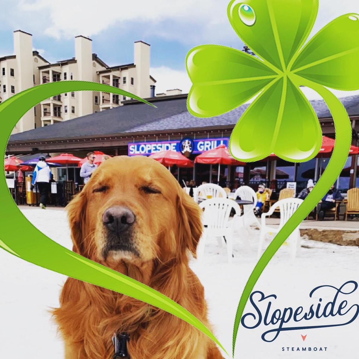 Slopeside Grill restaurant view 1