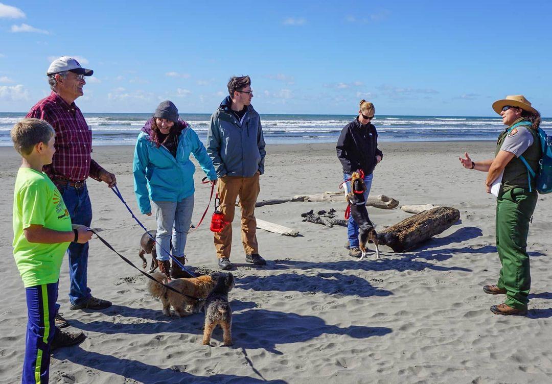 Dog friendly hikes shop olympic national park