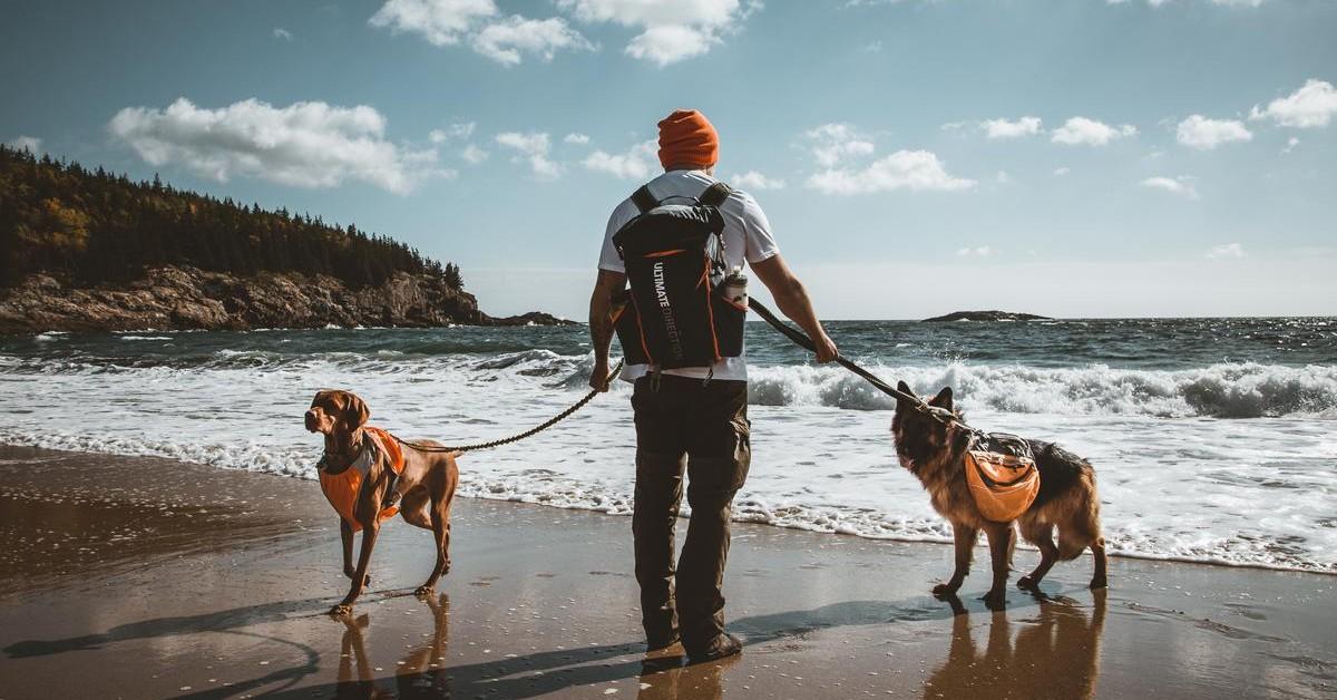 Most Dog-Friendly National Parks on the East Coast