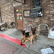 Inzo Italian Kitchen restaurant view 1