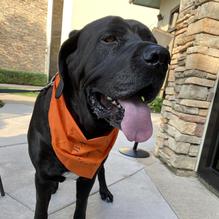 Back Table restaurant view 1