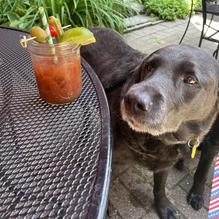 Later Alligator restaurant view 2