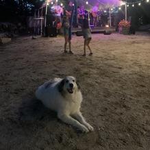 Funky Bow Brewery & Beer Company restaurant view 3