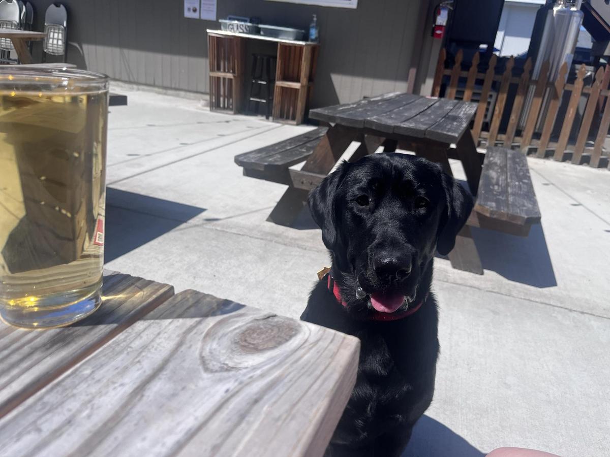 Penn Cove Brewing Co. - Coupeville Brewery & Taproom restaurant view 1