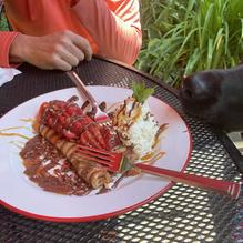 Later Alligator restaurant view 1