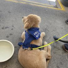 VI Grill restaurant view 1