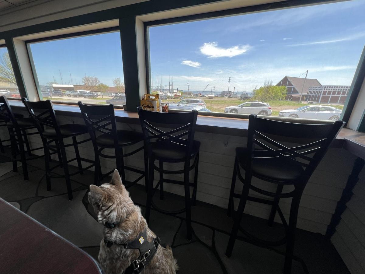 Manypenny Bistro restaurant view 1