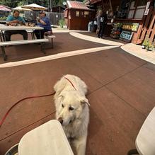 The Peg House restaurant view 1