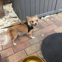 Ladino restaurant view 1