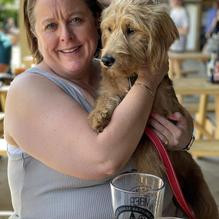 Dark Horse Brewing Company restaurant view 1