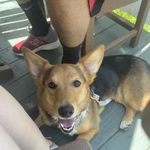 The Pub in the Park restaurant view 3