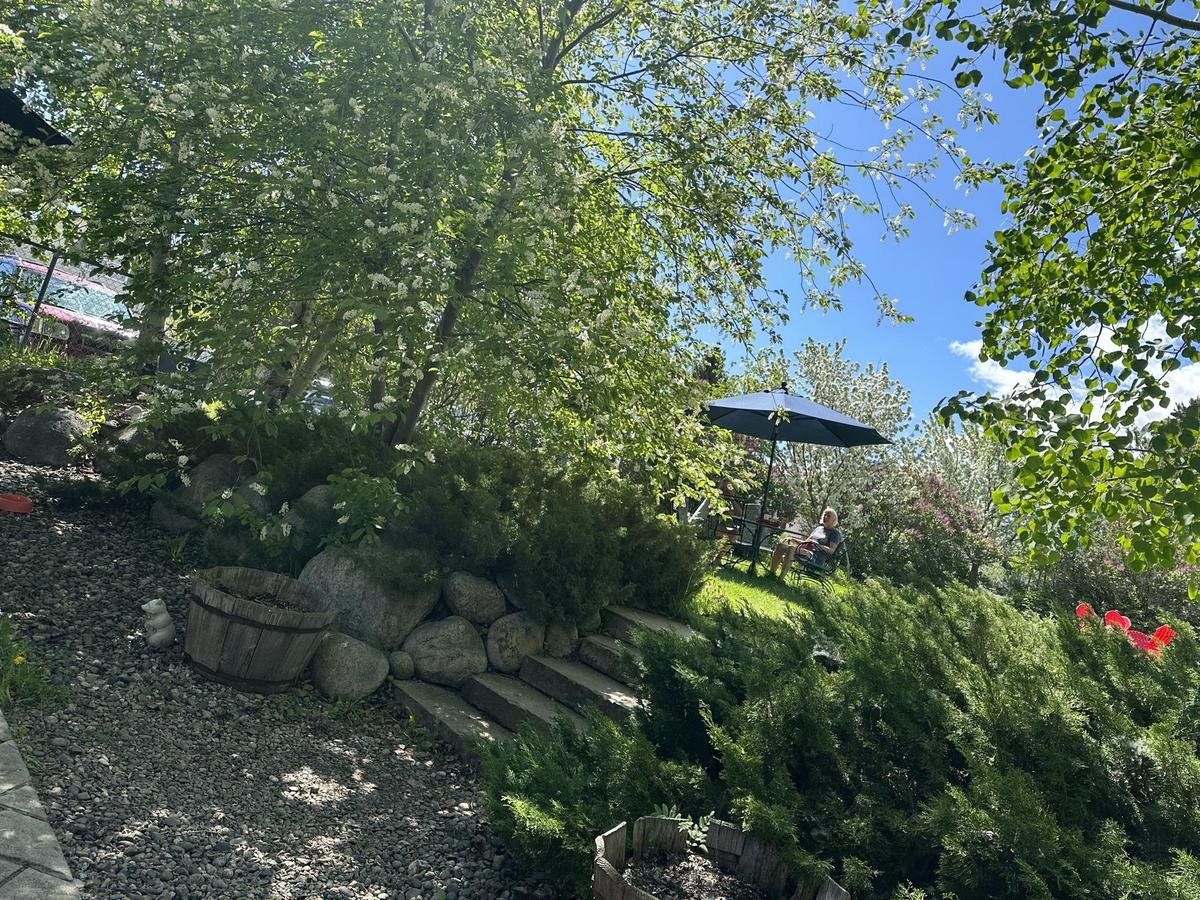 Cafe Regis restaurant view 3