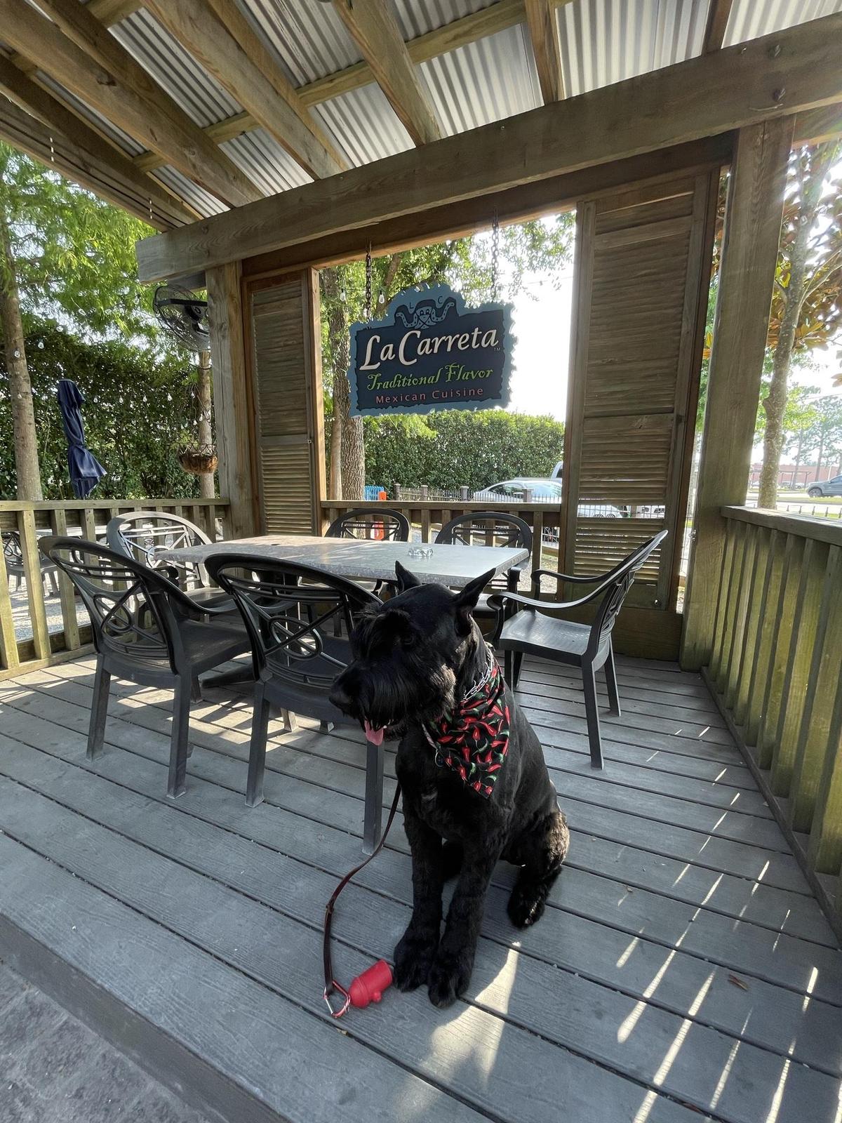 La Carreta of Houma restaurant view 1
