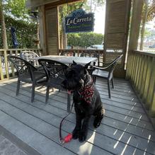 La Carreta of Houma restaurant view 1