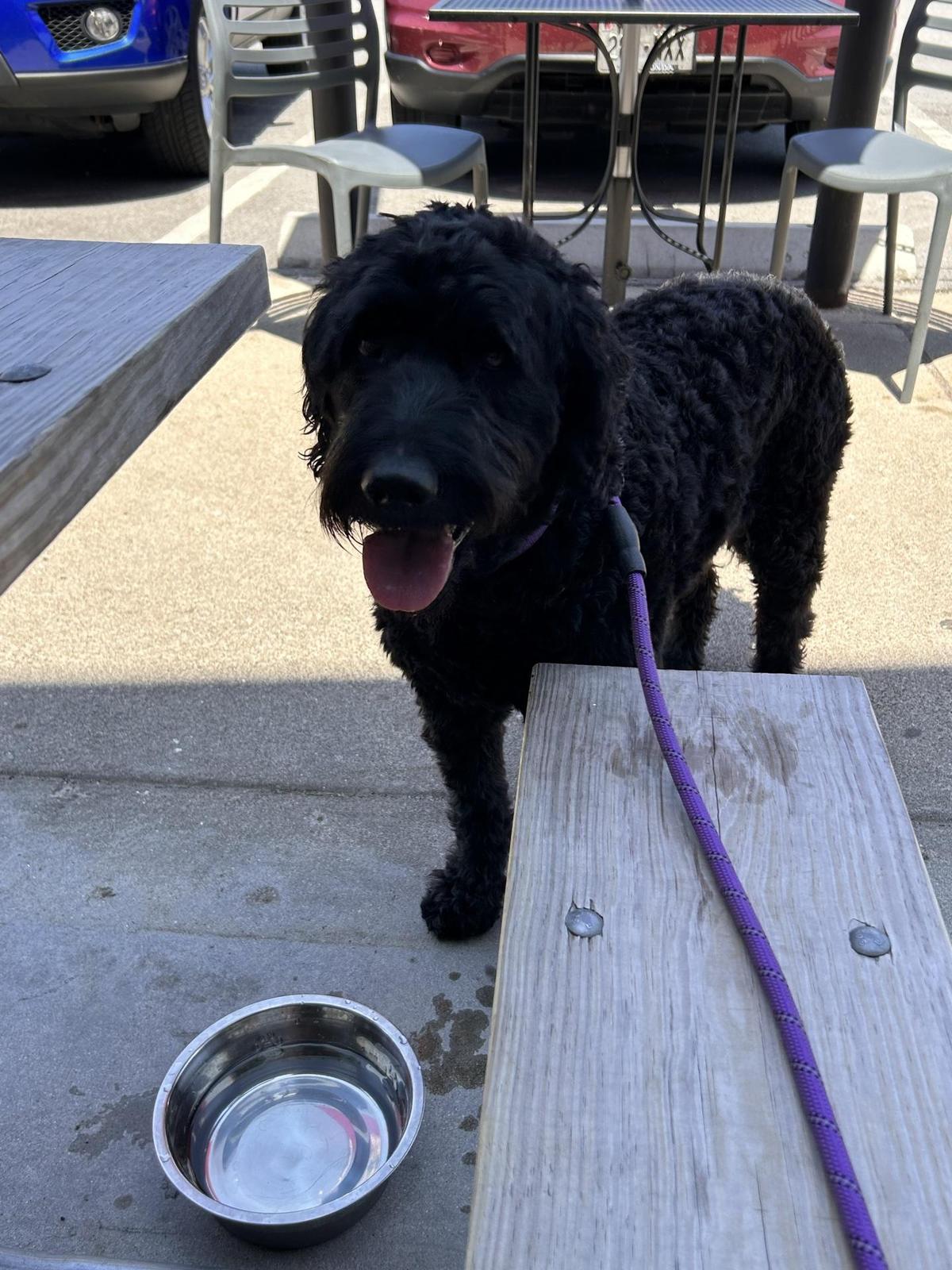 Fuzzyline Brewing Co restaurant view 3