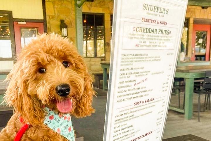 Pet Friendly Snuffer's Restaurant & Bar