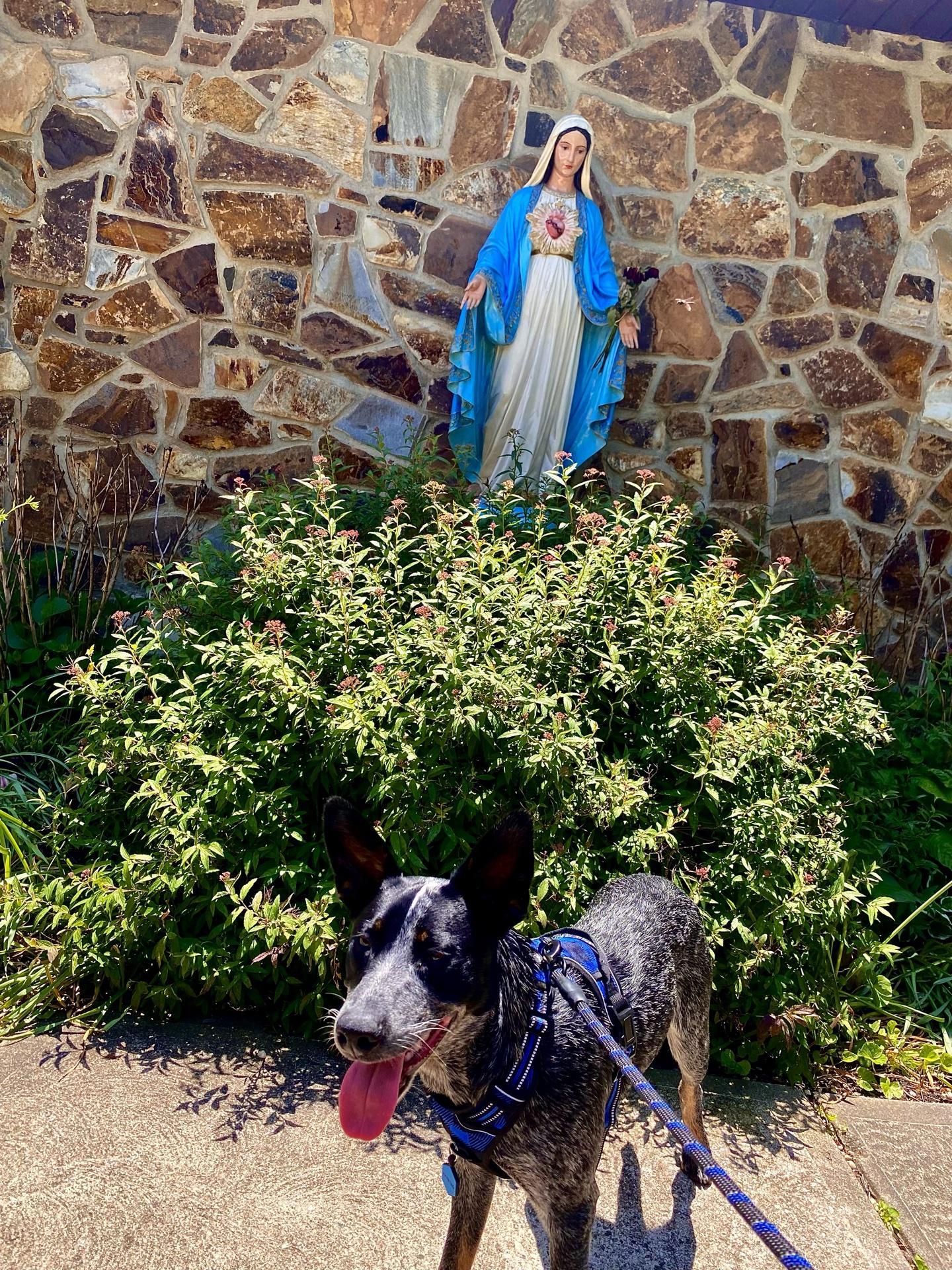 Negan takes manorville ⋆ BringFido