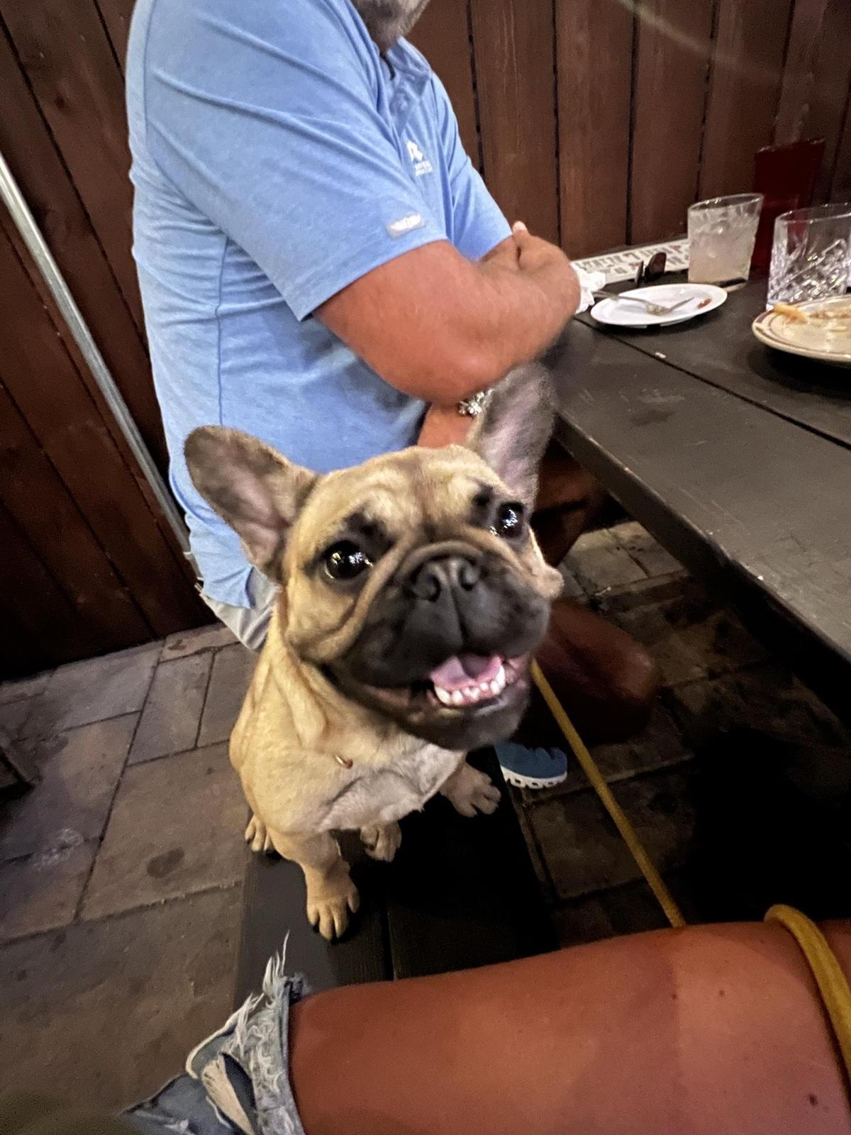 Toasty's Tavern restaurant view 1