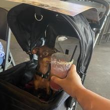 Spirits Food & Friends restaurant view 3