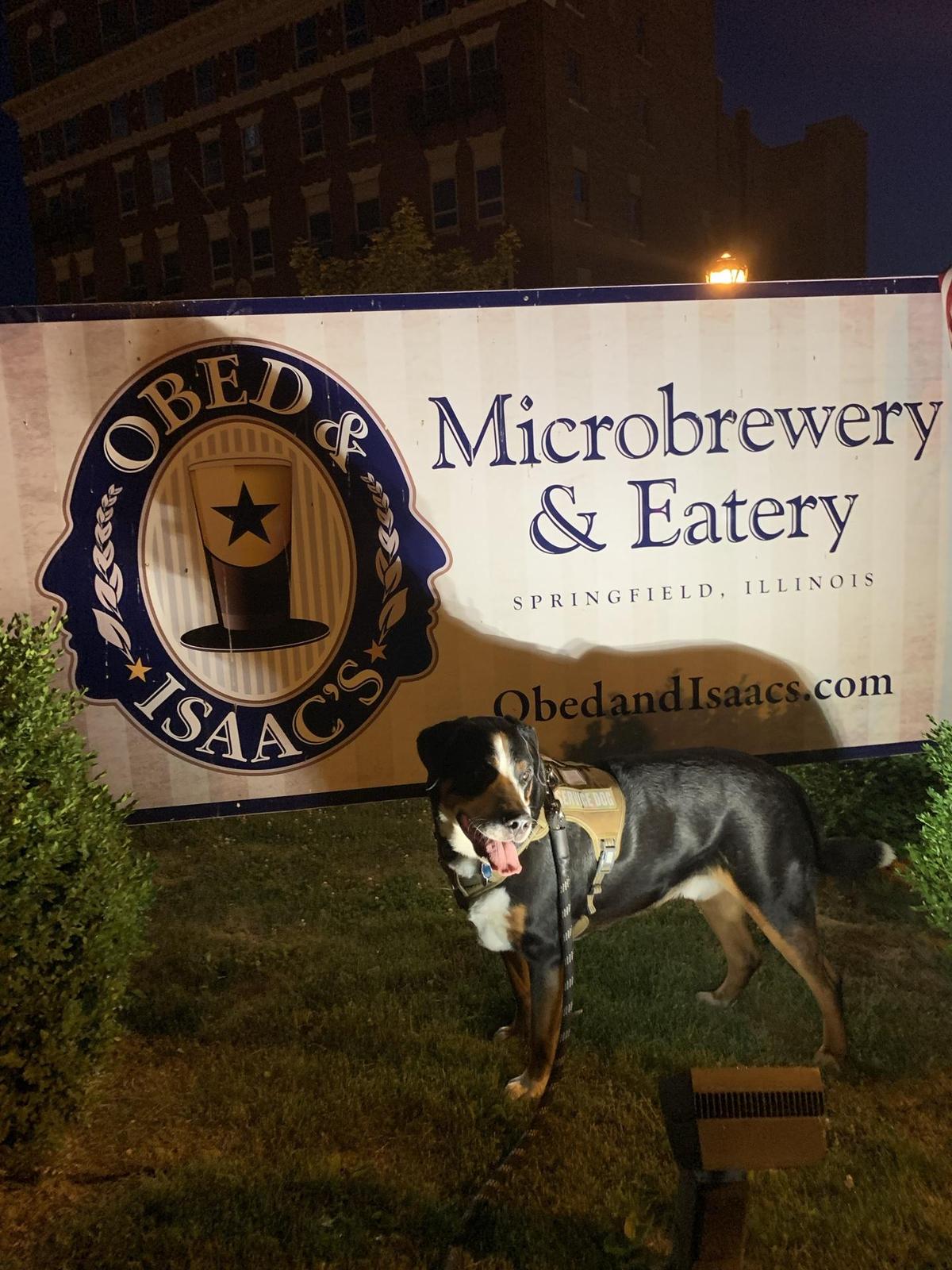 Obed & Isaac’s Microbrewery and Eatery restaurant view 4