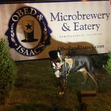 Obed & Isaac’s Microbrewery and Eatery restaurant view 4