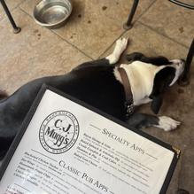 C.J. Muggs restaurant view 1