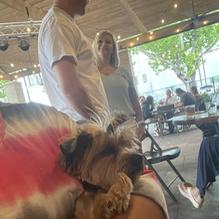 Spirits Food & Friends restaurant view 2