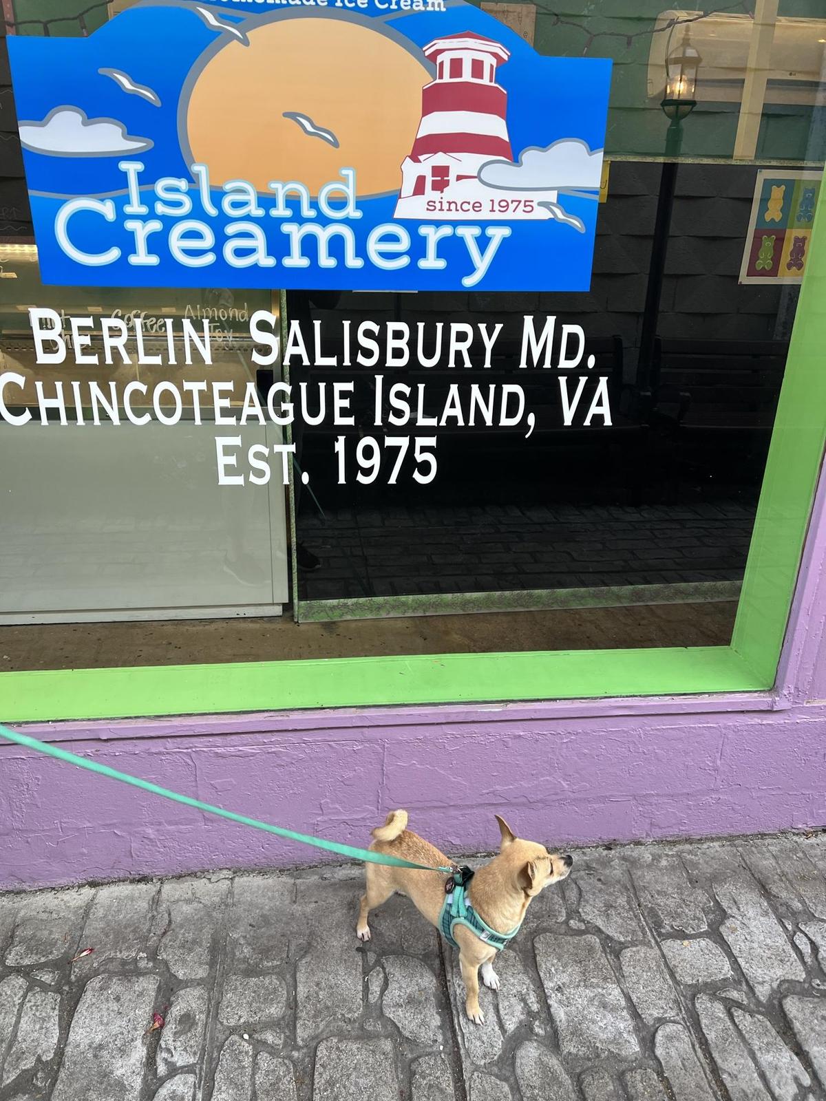 Island Creamery restaurant view 1