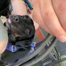 Mystic Cafe restaurant view 1