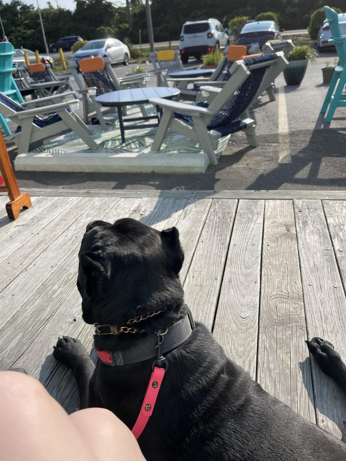 Waveriders Coffee & Deli restaurant view 1