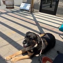 Bangor Beer Co. restaurant view 2