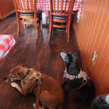 Crab Louie's Bistro restaurant view 1