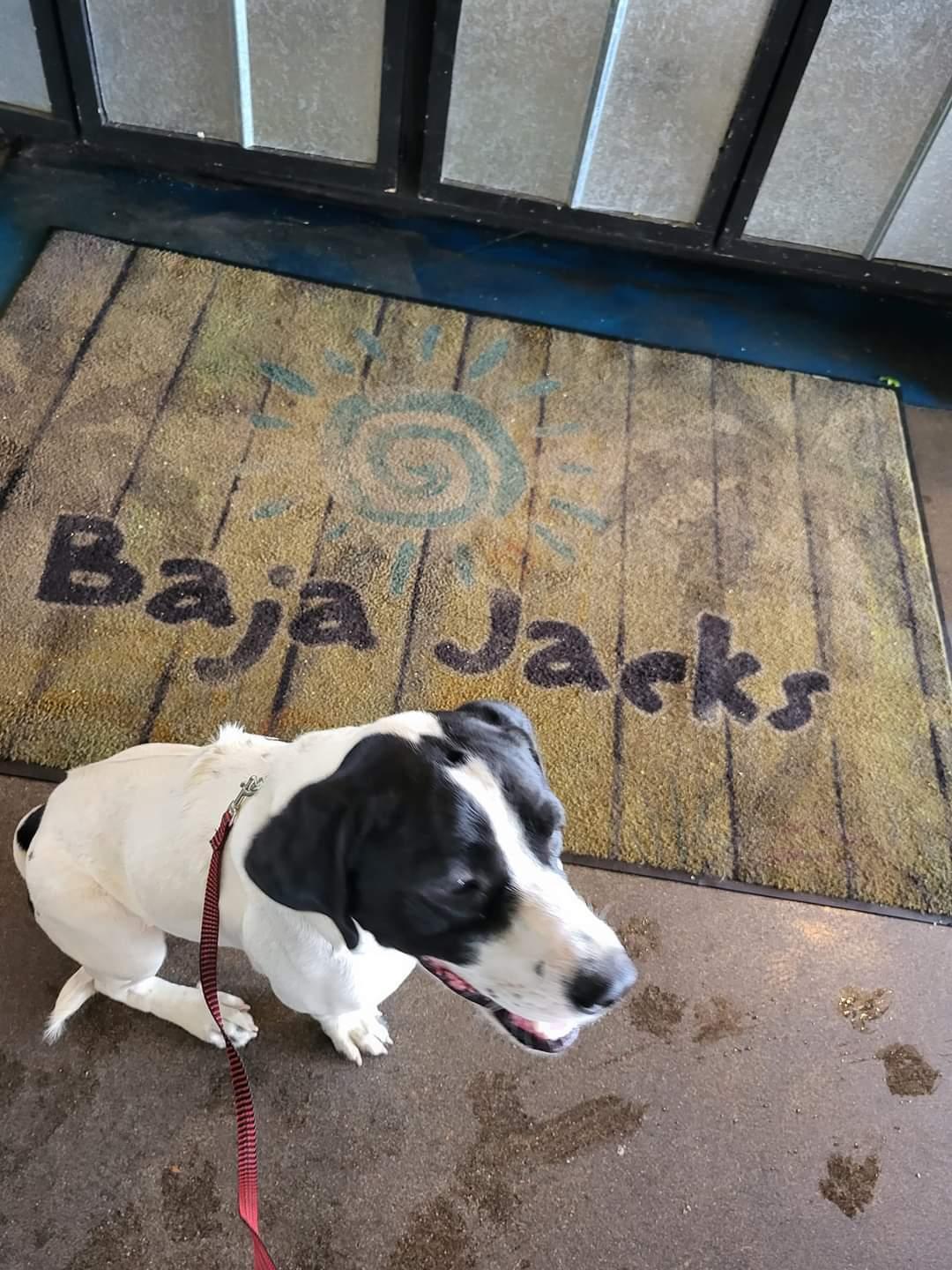 Baja Jack's Burrito Shack restaurant view 1